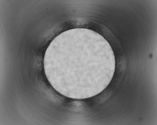 X0000115560654200912181618