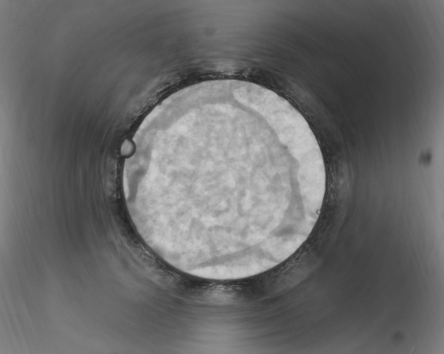 X0000115560656200912181618