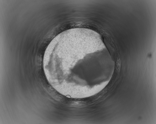 X0000115560657200912181618