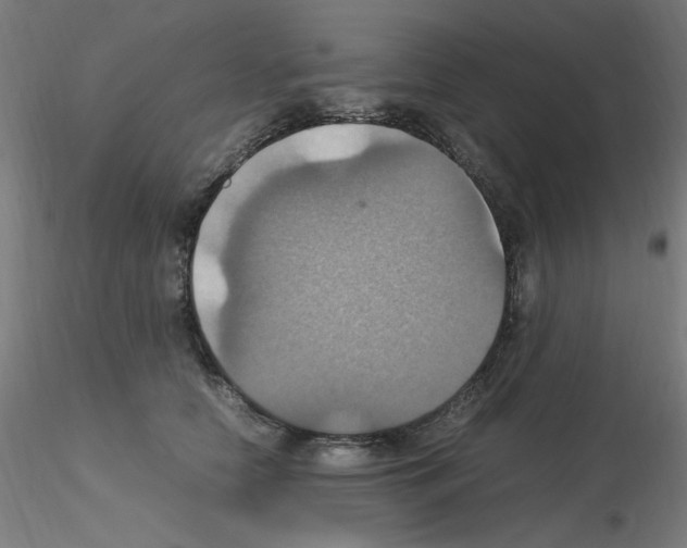 X0000115560658200912181618