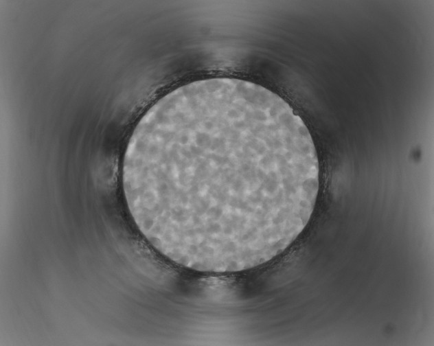 X0000115560660200912181618