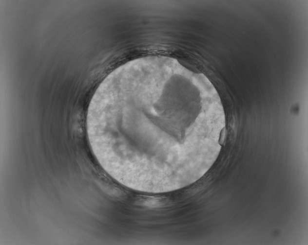 X0000115560663200912181618