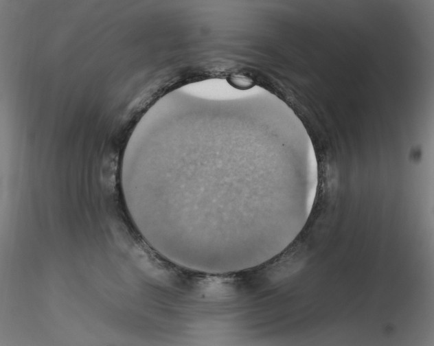 X0000115560664200912181618