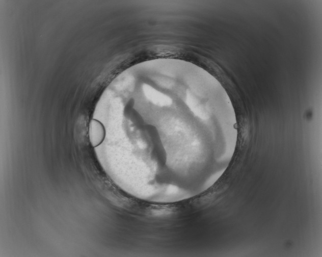 X0000115560667200912181618