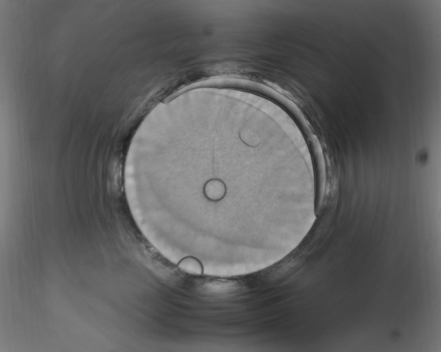 X0000115560669200912181619