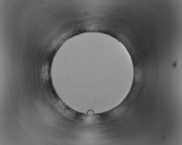 X0000115560670200912181619