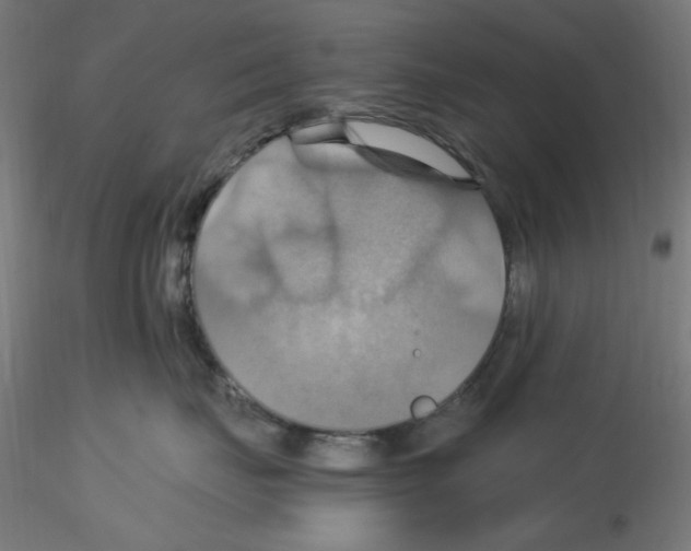 X0000115560671200912181619