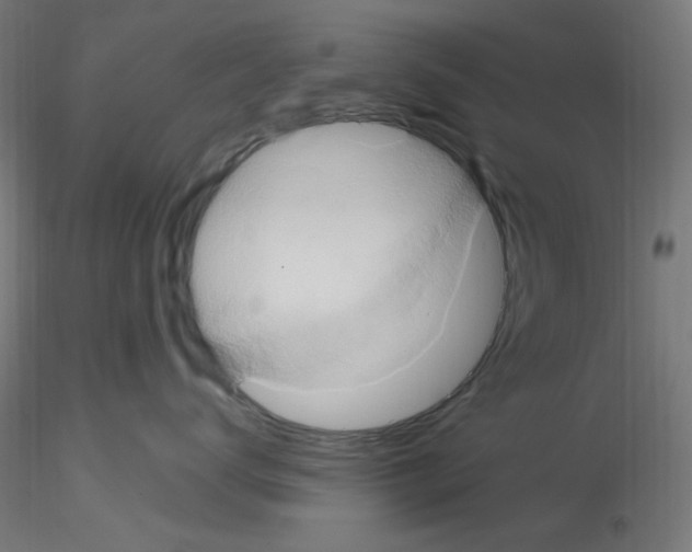 X0000115560672200912181619