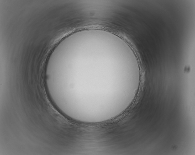 X0000115560673200912181618