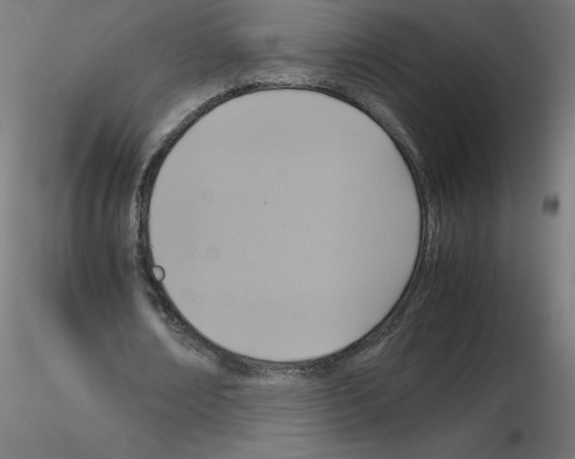 X0000115560674200912181618