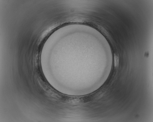 X0000115560675200912181618