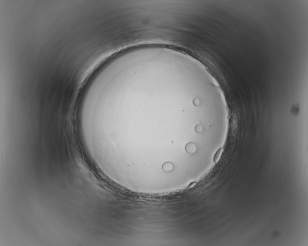 X0000115560676200912181618