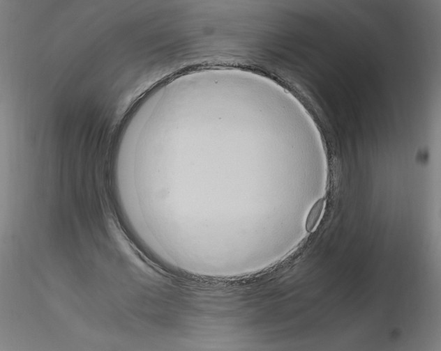 X0000115560677200912181618