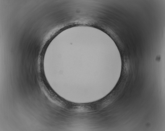 X0000115560678200912181618