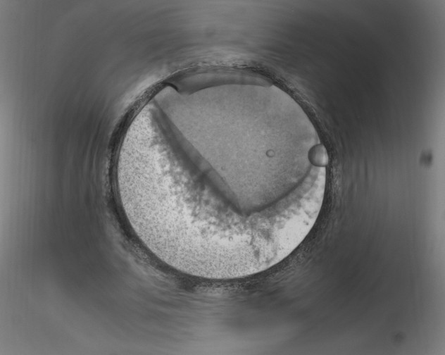 X0000115560679200912181618