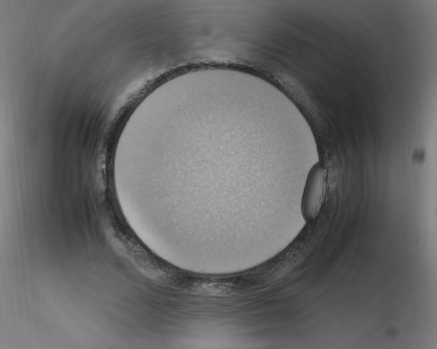 X0000115560680200912181618