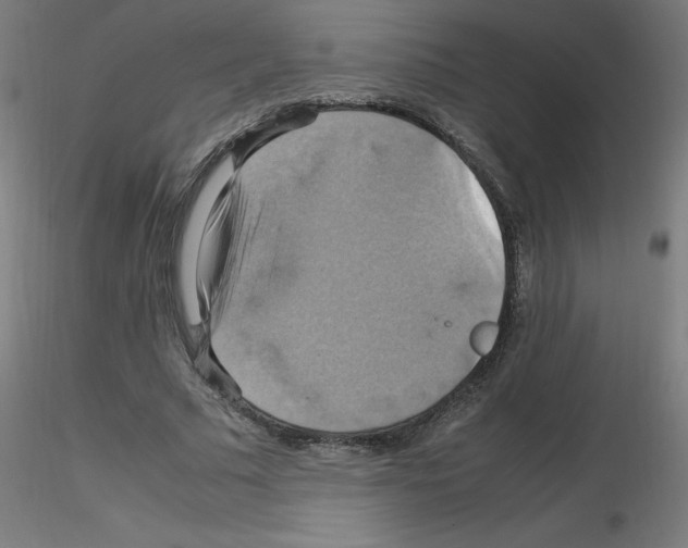 X0000115560681200912181618