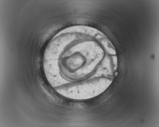 X0000115560683200912181618