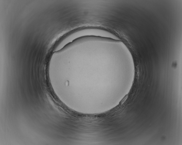 X0000115560684200912181618