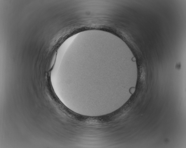 X0000115560685200912181618