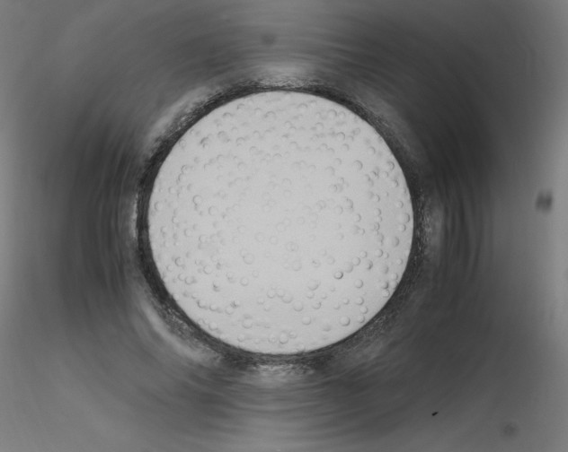 X0000115560686200912181618