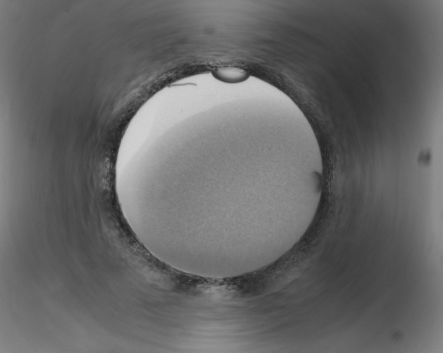 X0000115560689200912181618