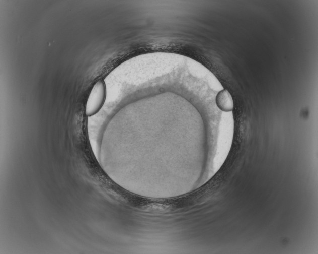 X0000115560691200912181618