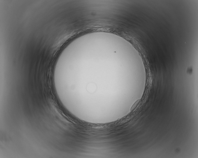 X0000115560692200912181618