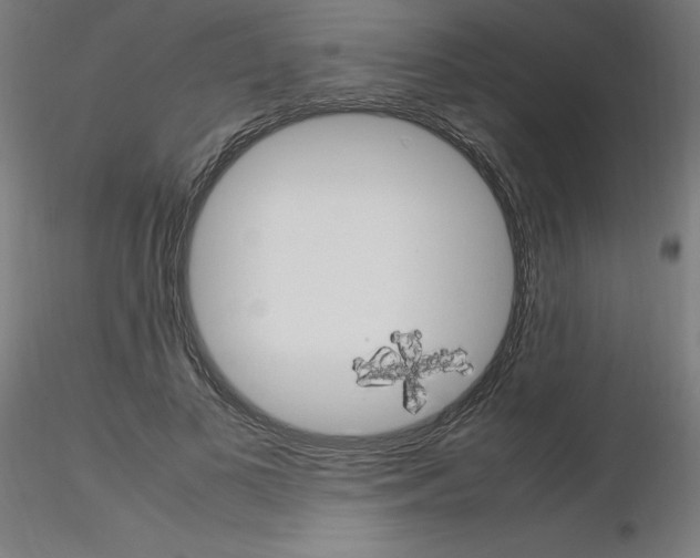 X0000115560693200912181618