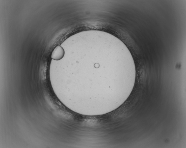 X0000115560694200912181618