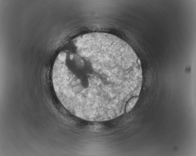 X0000115560695200912181617