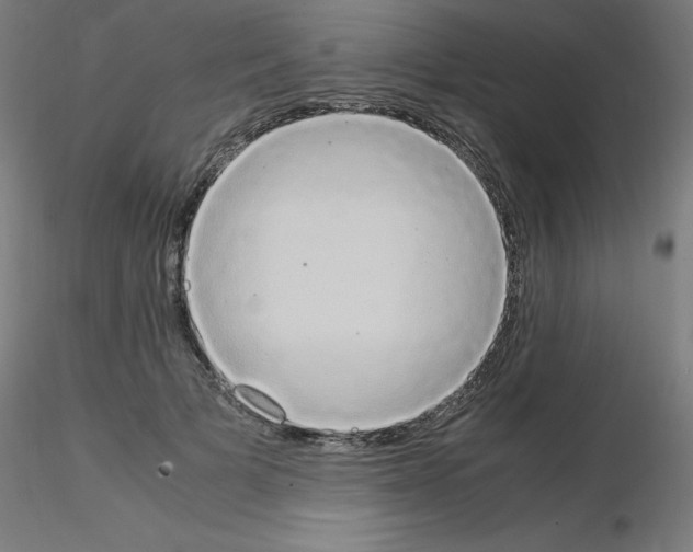 X0000115560697200912181617