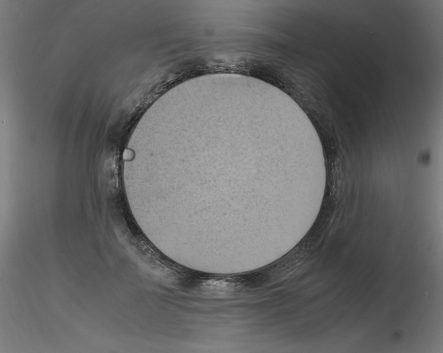 X0000115560699200912181617