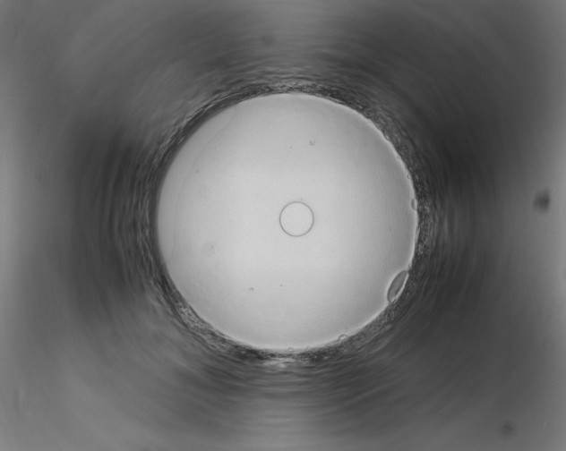 X0000115560700200912181617