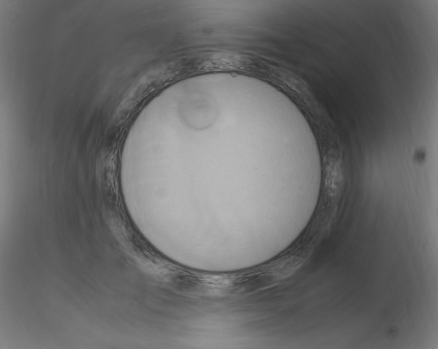 X0000115560701200912181617