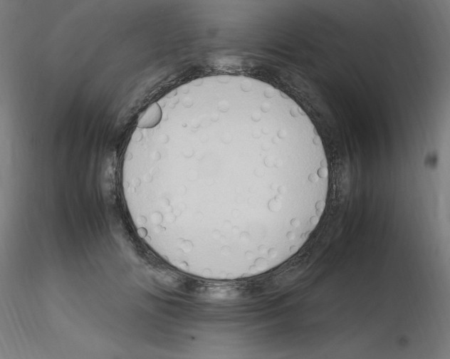 X0000115560702200912181617