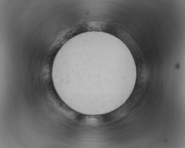 X0000115560706200912181617