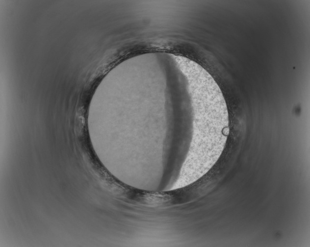 X0000115560707200912181617