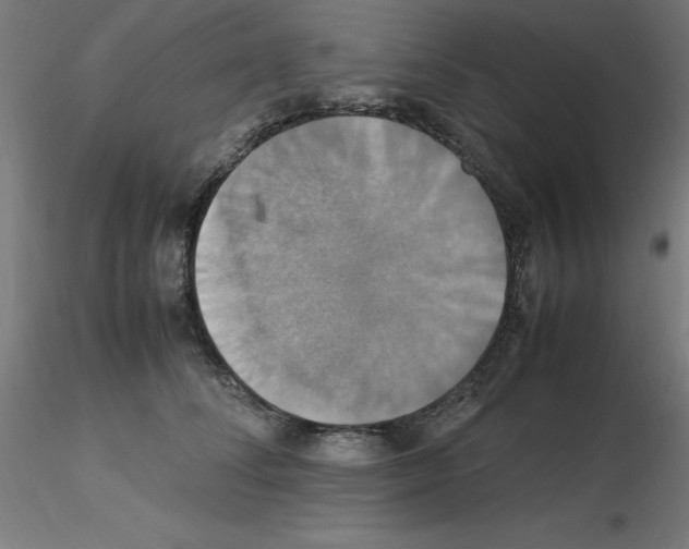 X0000115560708200912181617