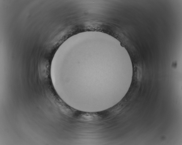 X0000115560712200912181617