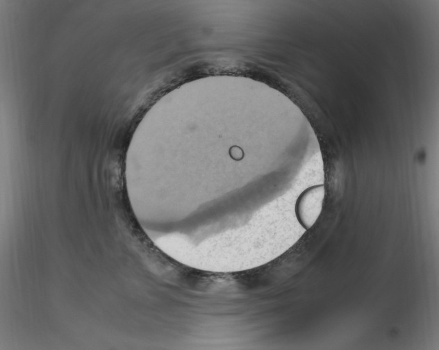 X0000115560715200912181617