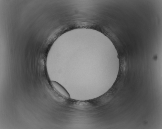 X0000115560716200912181617