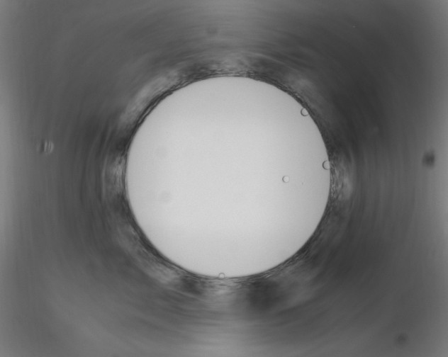 X0000115560717200912181617