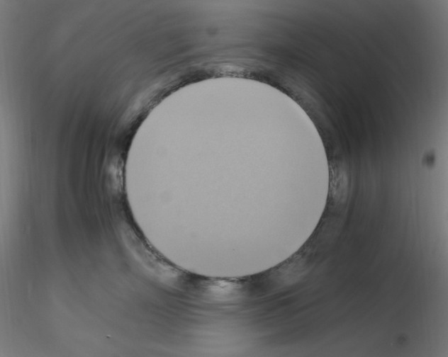 X0000115560718200912181617