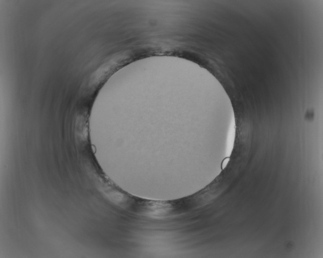 X0000115560719200912181617