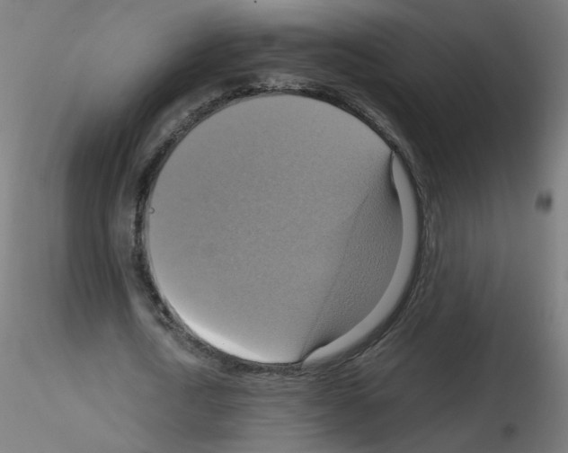 X0000115560722200912181616