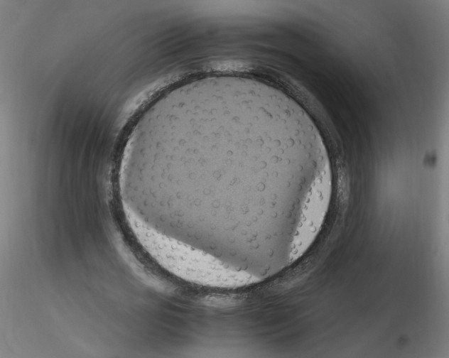 X0000115560725200912181616