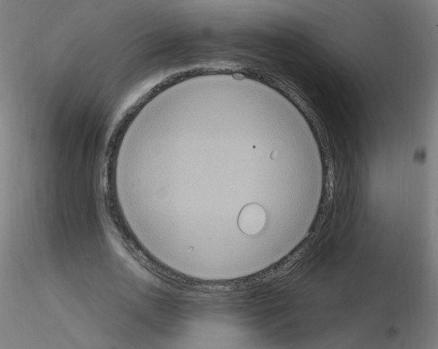 X0000115560726200912181616