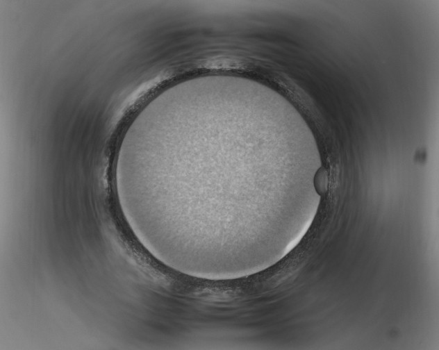 X0000115560727200912181616