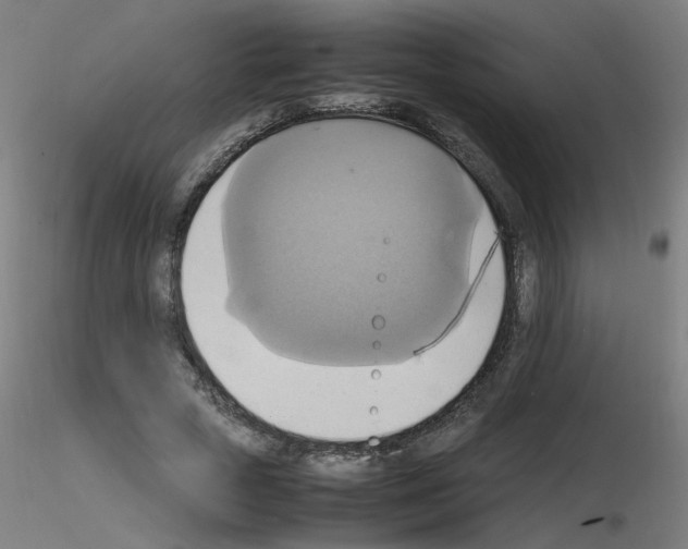 X0000115560729200912181616